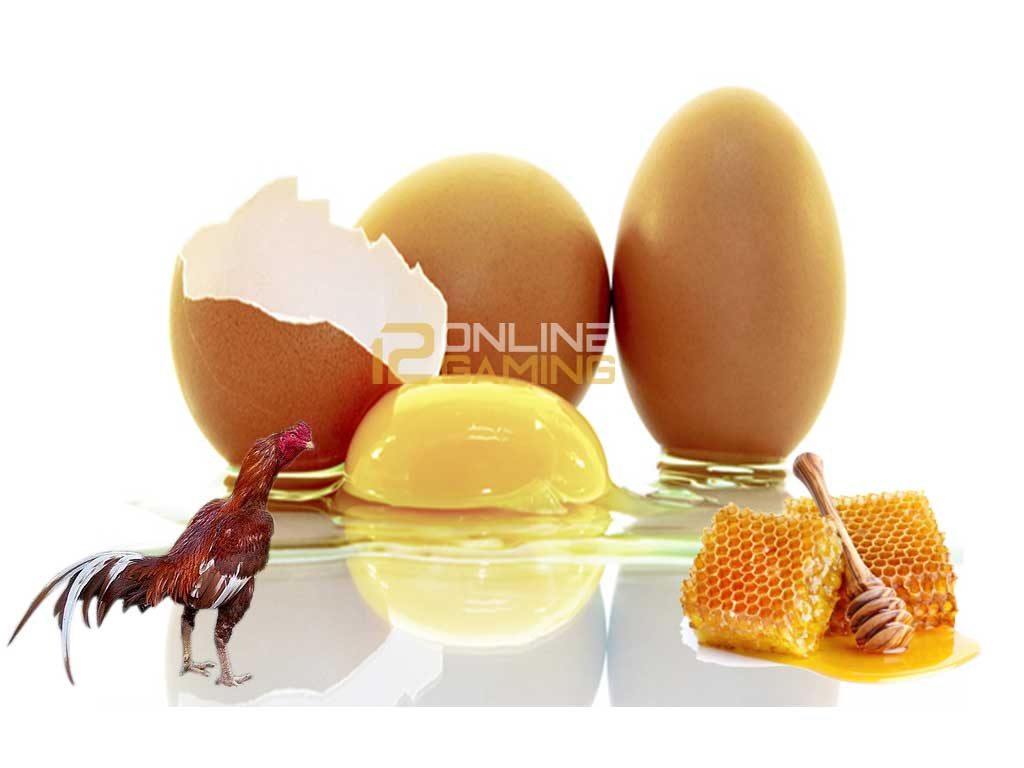 Khasiat Madu Dan Telur Untuk Ayam