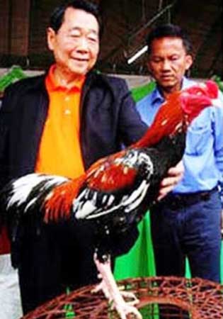 Sejarah Ayam Bangkok