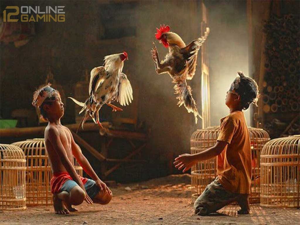 sejarah ayam bangkok