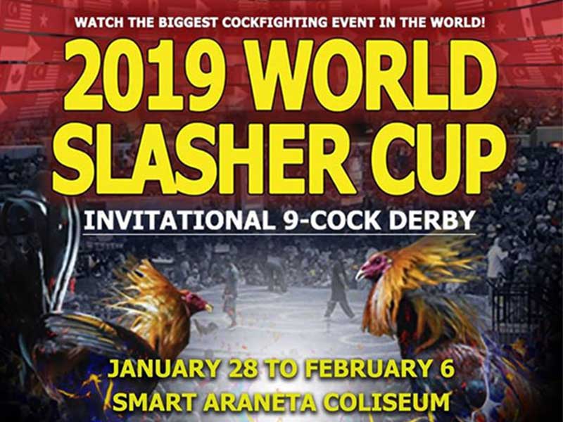 world slasher cup Pertandingan Sabung Ayam Di Filipina