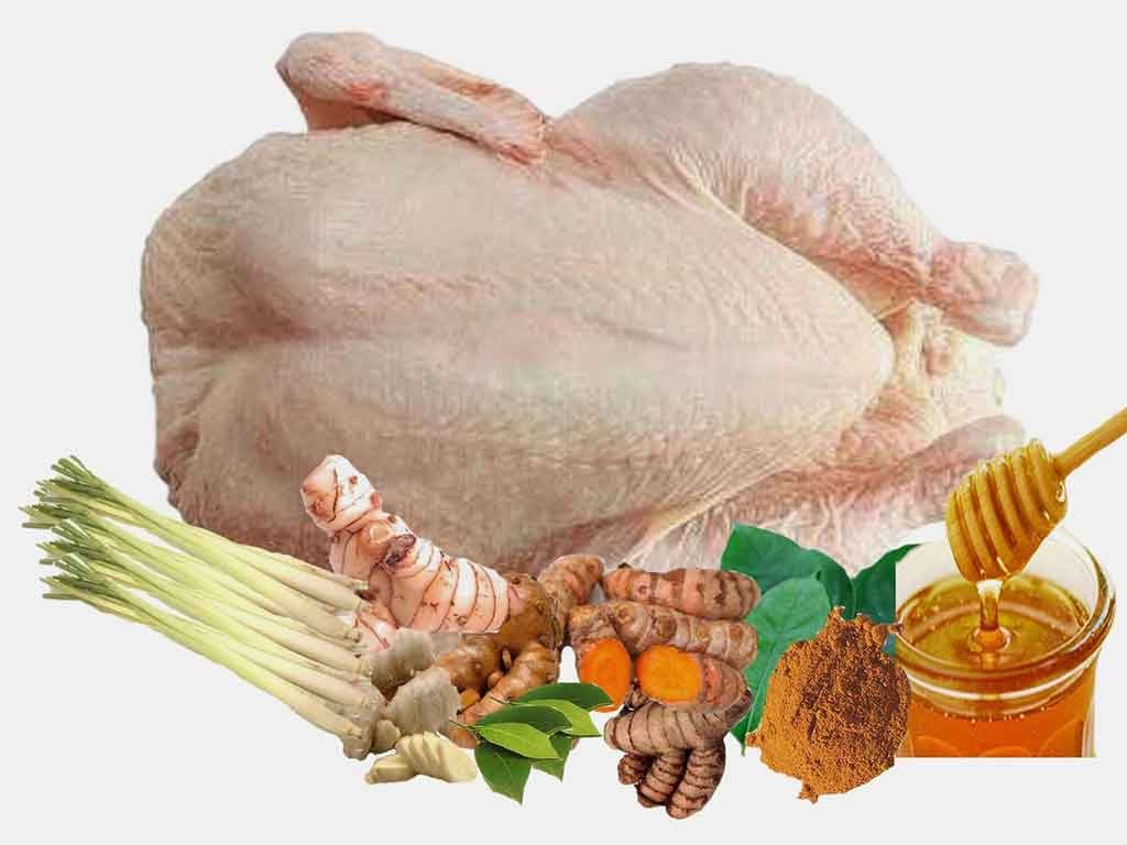 Manfaat Mengkonsumsi Daging Ayam