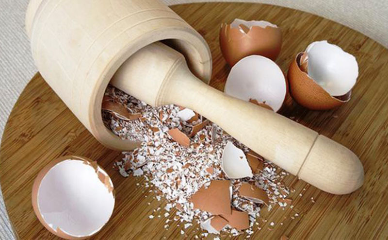 Berbagai Manfaat Cangkang Telur Ayam