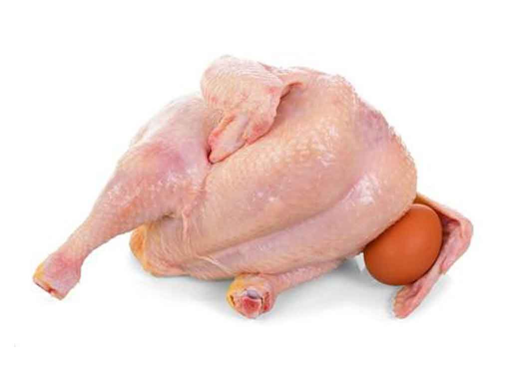 Fakta Nutrisi Daging Dan Telur Ayam