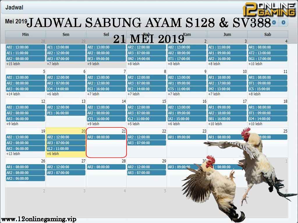 Jadwal Sabung Ayam S128 Dan SV388 21 Mei 2019