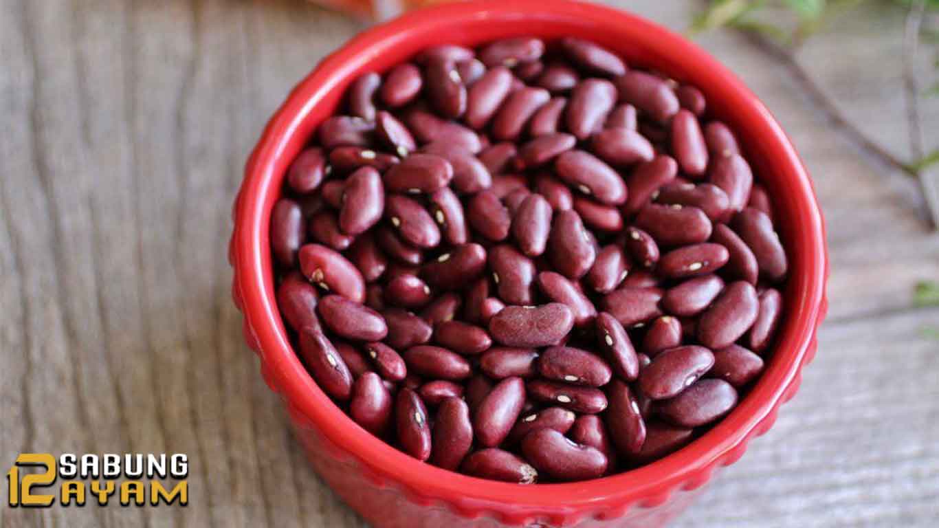 Manfaat Kacang Merah Untuk Ayam Aduan